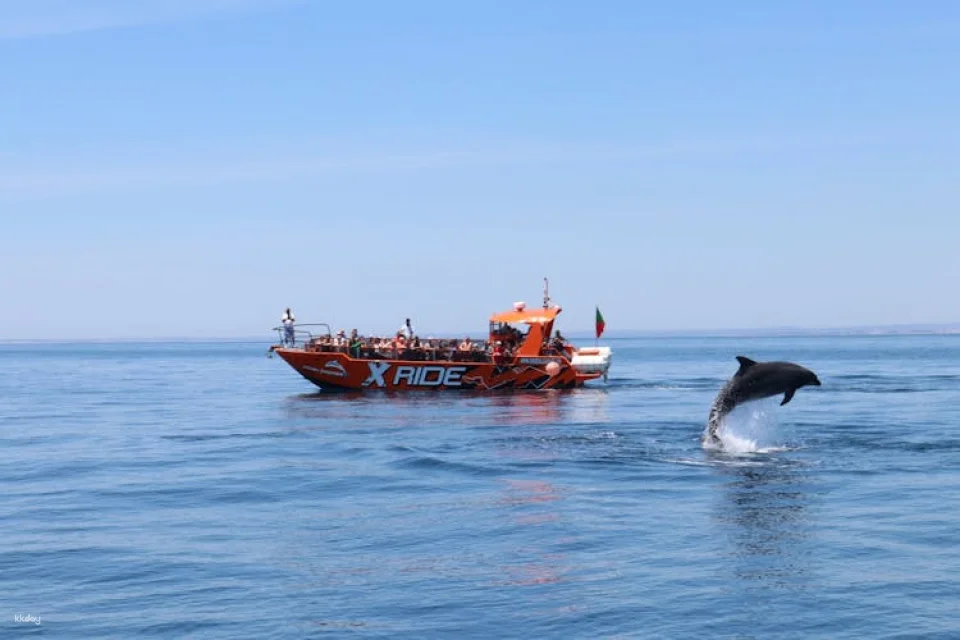 Dolphins and Caves Cruise Tour in Albufeira