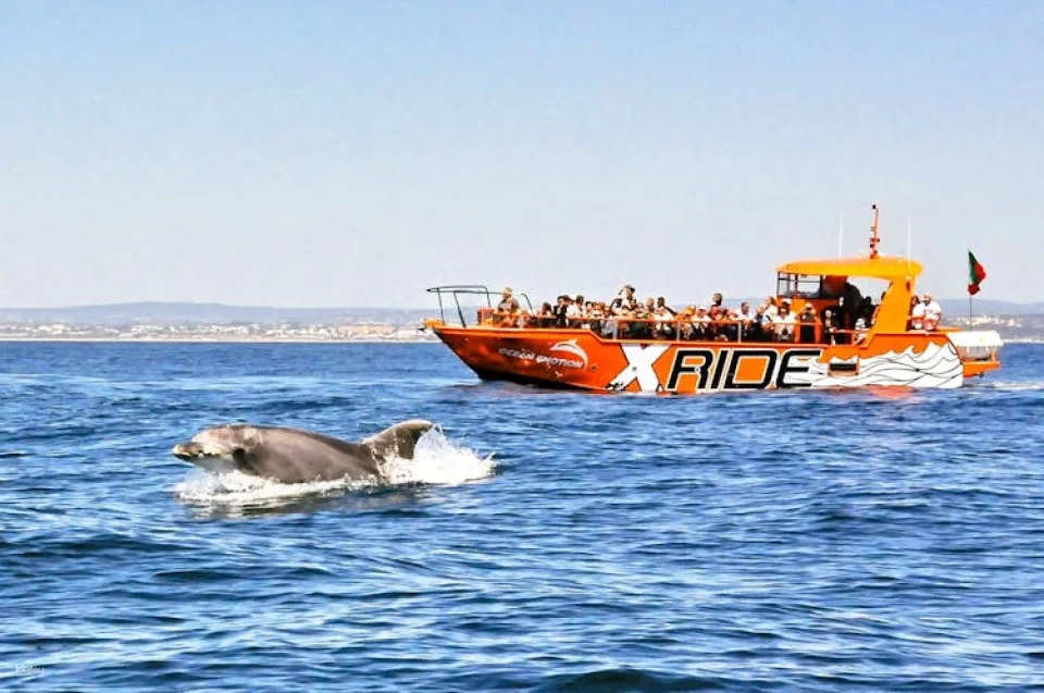 Dolphins and Caves Cruise Tour in Albufeira