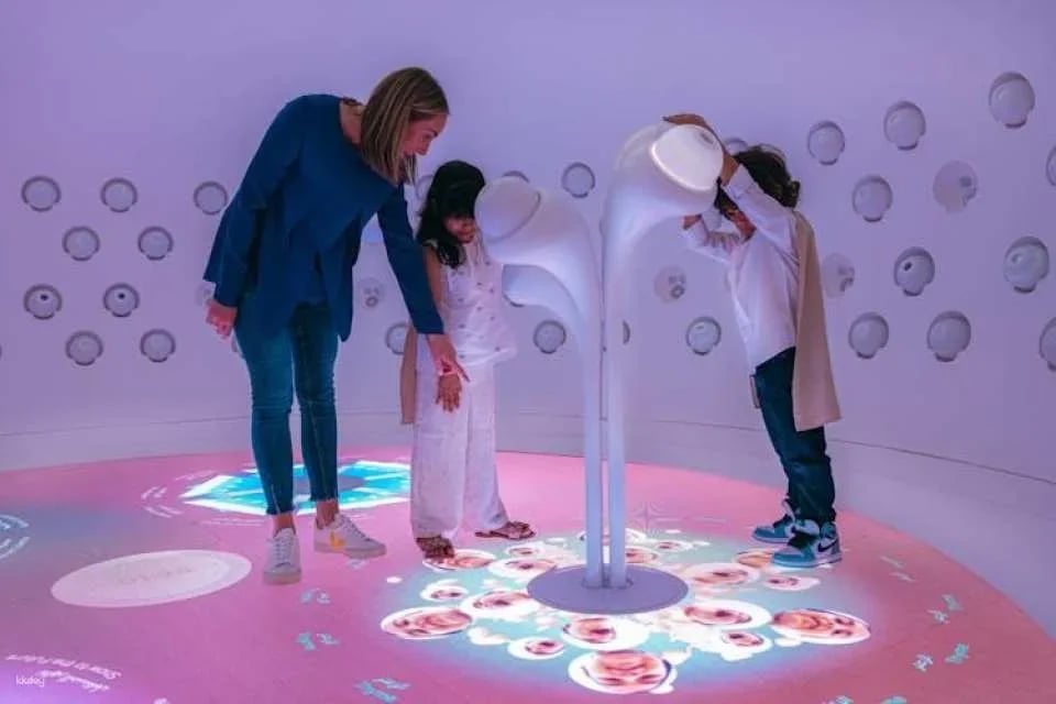 Museum of the Future Timed Entry Ticket
