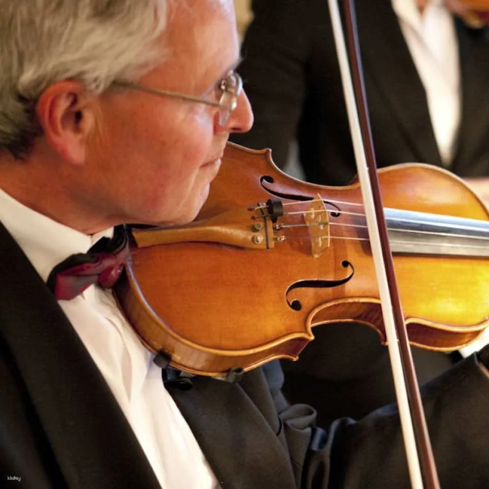 Lobkowicz Palace and Midday Concert Ticket | Prague