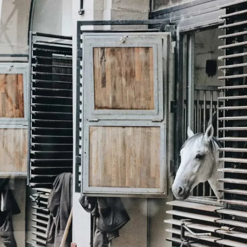 Spanish Riding School Guided Tour | Vienna