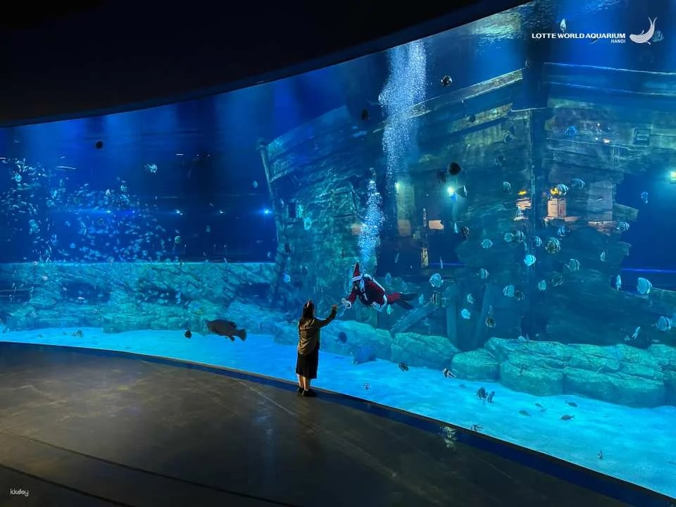 [SPECIAL PROMOTION] Lotte World Aquarium | Hanoi