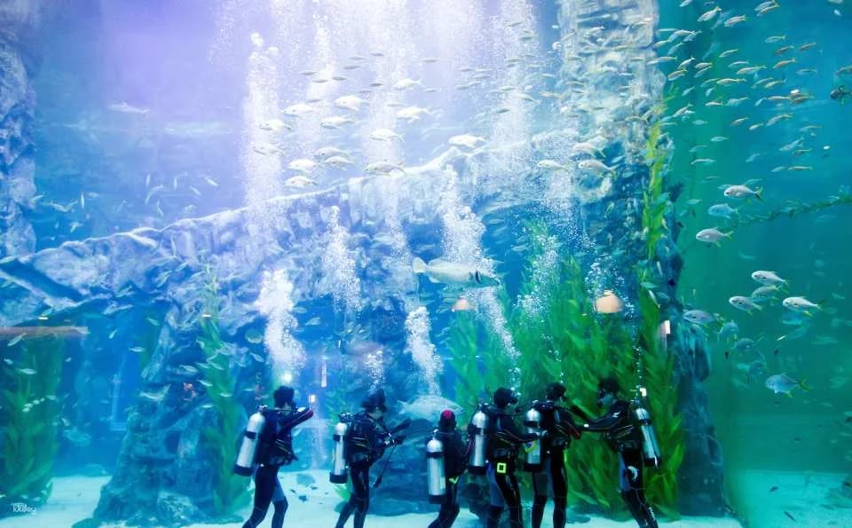 Lotte World Aquarium Ticket