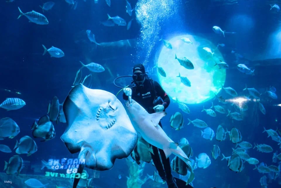 [SPECIAL PROMOTION] Lotte World Aquarium | Hanoi