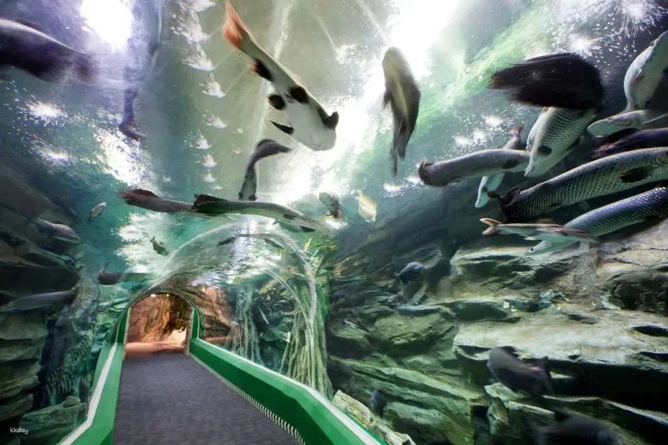Lotte World Aquarium Ticket