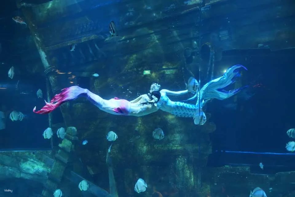 [SPECIAL PROMOTION] Lotte World Aquarium | Hanoi