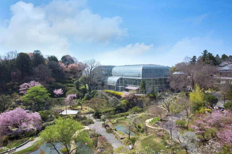 Takashi Yanase Memorial Museum & Makino Botanical Gardens - Set ticket for great value (two ticket types: general ticket, parent-child ticket)
