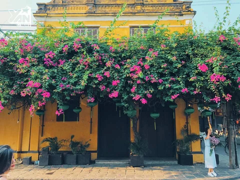 Hoi An Ancient Town & Coffee Tasting Group Tour | Vietnam