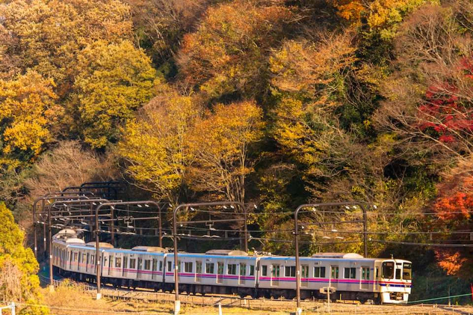 Tokyo Transportation Tickets | Keio Line One-Day Ticket + Mt. Takao Cable Car Ticket