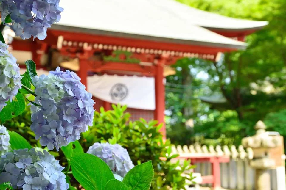 Tokyo Transportation Tickets | Keio Line One-Day Ticket + Mt. Takao Cable Car Ticket