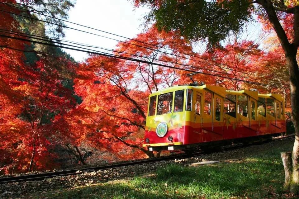 Tokyo Transportation Tickets | Keio Line One-Day Ticket + Mt. Takao Cable Car Ticket