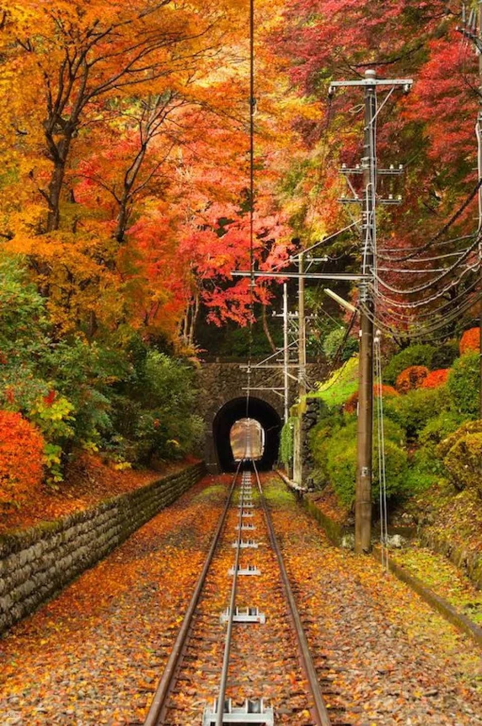 Tokyo Transportation Tickets | Keio Line One-Day Ticket + Mt. Takao Cable Car Ticket