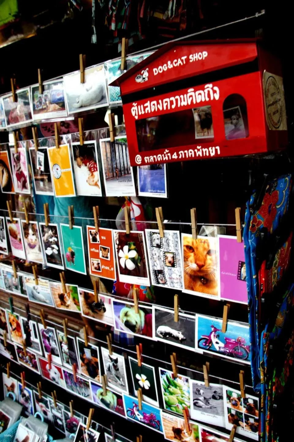 Pattaya Floating Market Boat Tour | Thailand