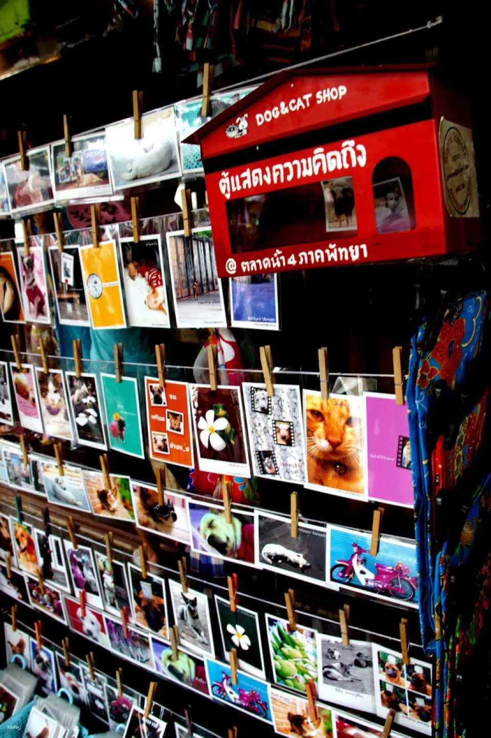 Pattaya Floating Market Boat Tour | Thailand