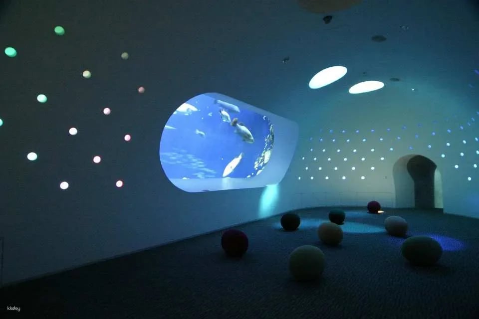 Oita Marine Palace Aquarium Umitamago Ticket