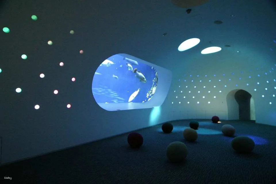 Oita Marine Palace Aquarium Umitamago Ticket