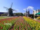 Nagasaki Departure: JR Train & Huis Ten Bosch Ticket Combo