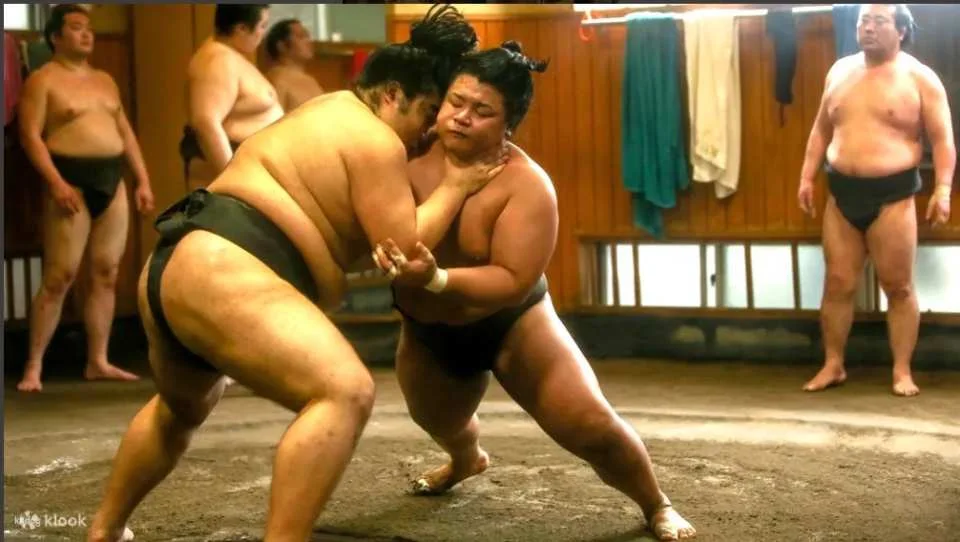 【Japan Shine Tour】Authentic Tokyo Sumo Morning Training Tour|Professional Reporter Guide + Photo Experience
