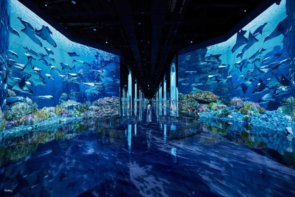 HEI Museum Admission Ticket: Immersive Media Art Exhibition | Paju, Korea