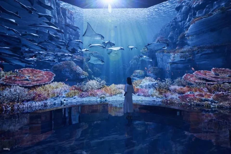 HEI Museum Admission Ticket: Immersive Media Art Exhibition | Paju, Korea