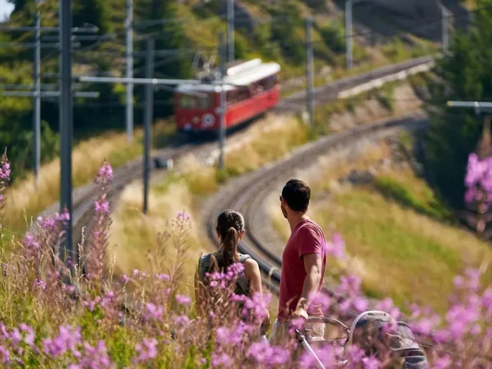 From Lucerne: Wellness Rigi Kaltbad incl. boat ticket and day pass Rigi cableways | Switzerland