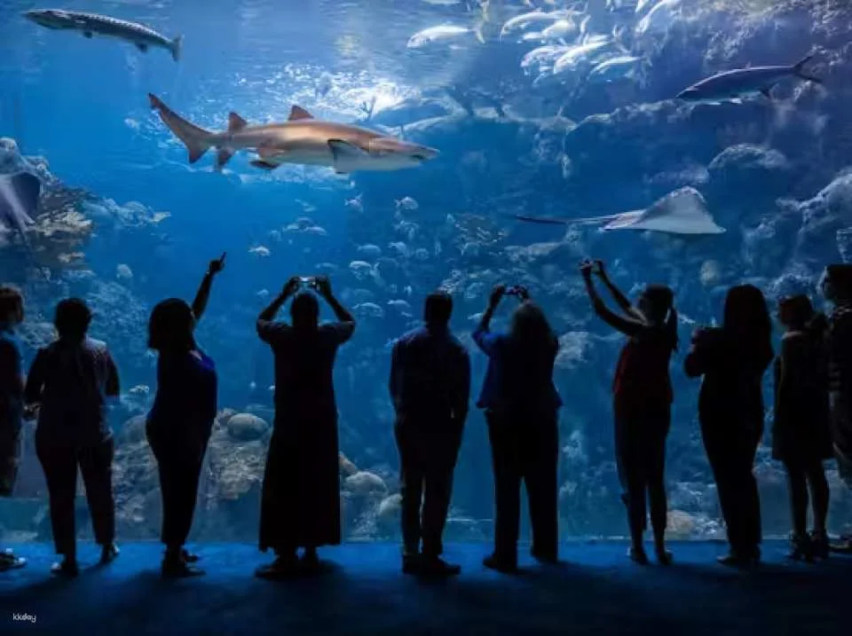 Tampa ZooQuarium: Zoo Tampa & The Florida Aquarium Combo Ticket | Florida