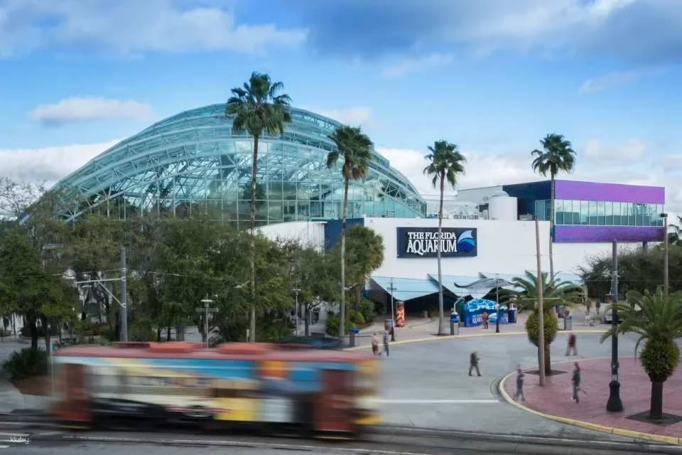 Tampa ZooQuarium: Zoo Tampa & The Florida Aquarium Combo Ticket | Florida