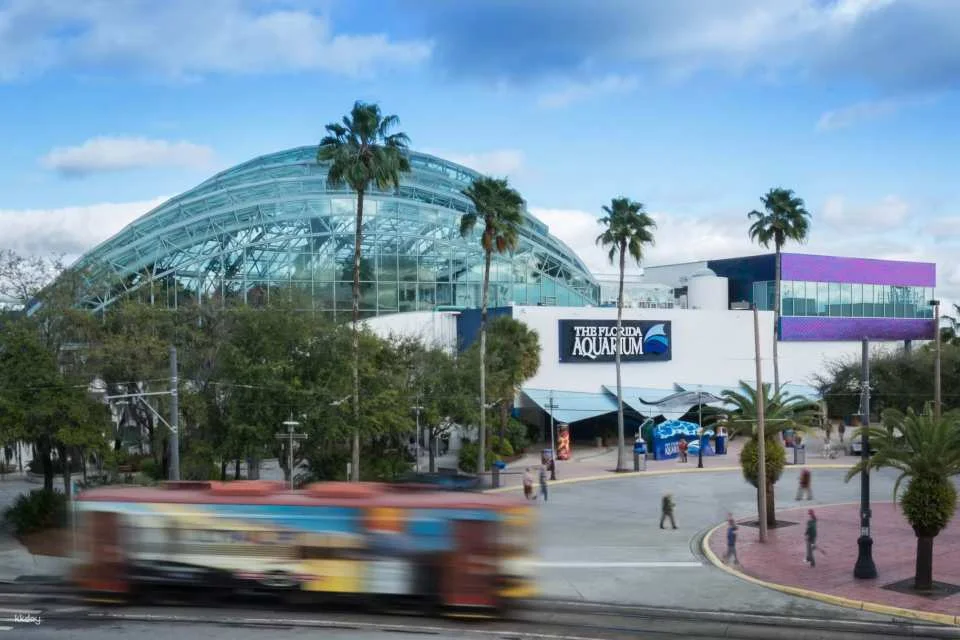 Tampa ZooQuarium: Zoo Tampa & The Florida Aquarium Combo Ticket | Florida