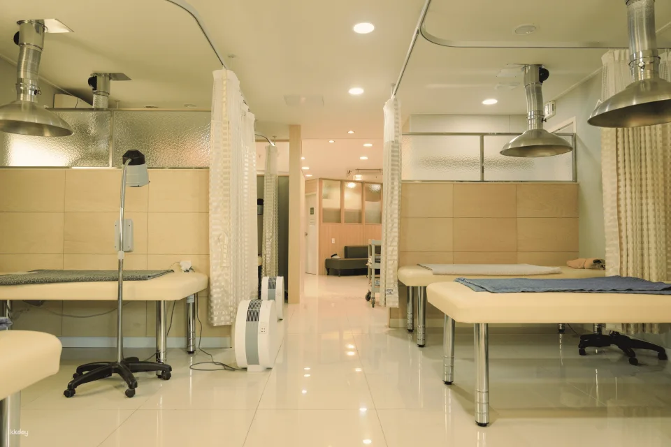 Korean Traditional Moxa Experience | Busan