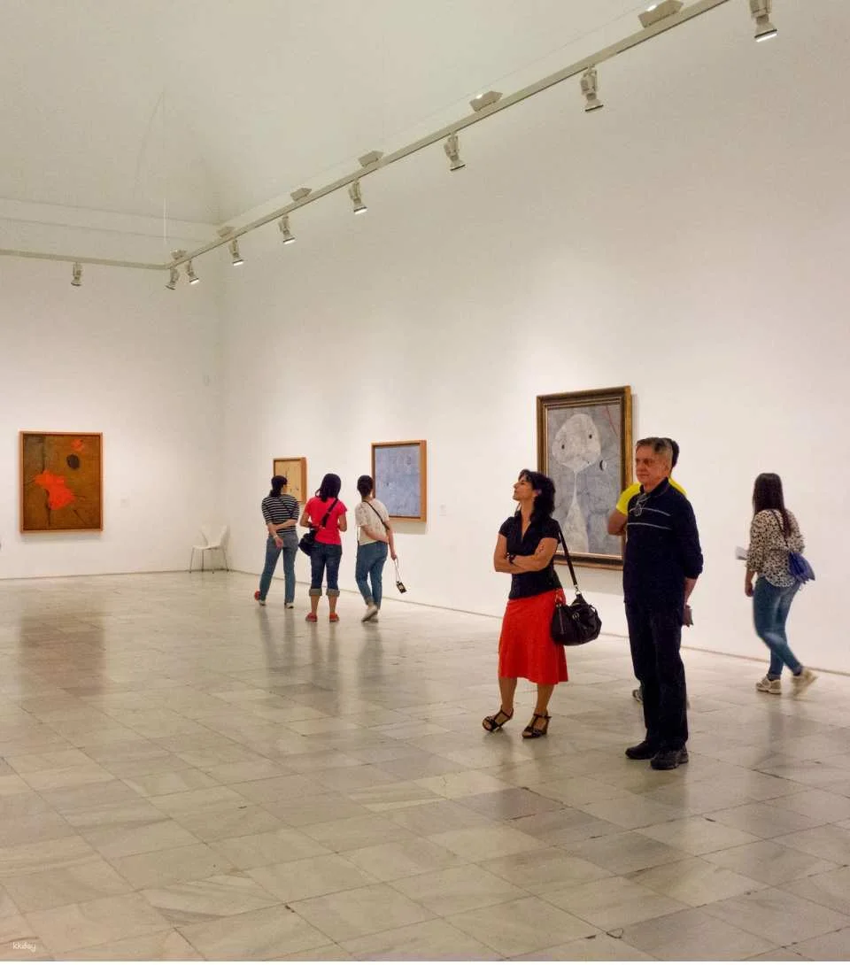 Reina Sofía Museum Skip the Line Ticket in Madrid | Spain
