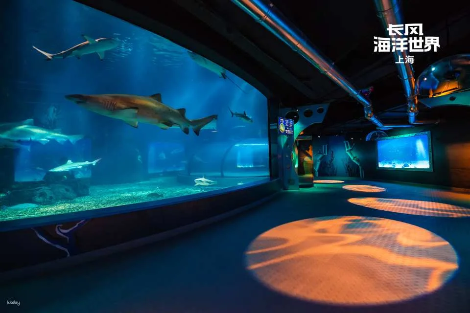 [China] Shanghai Changfeng Ocean World Tickets