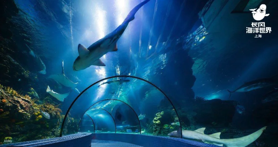 [China] Shanghai Changfeng Ocean World Tickets