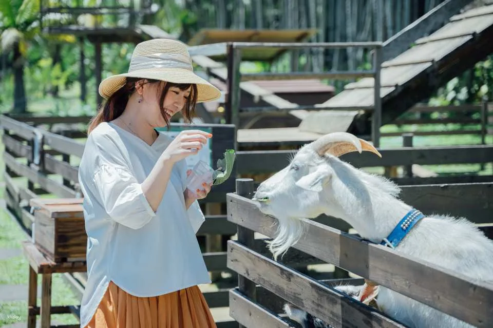 Okinawa Japan Southeast Botanical Gardens Admission Ticket