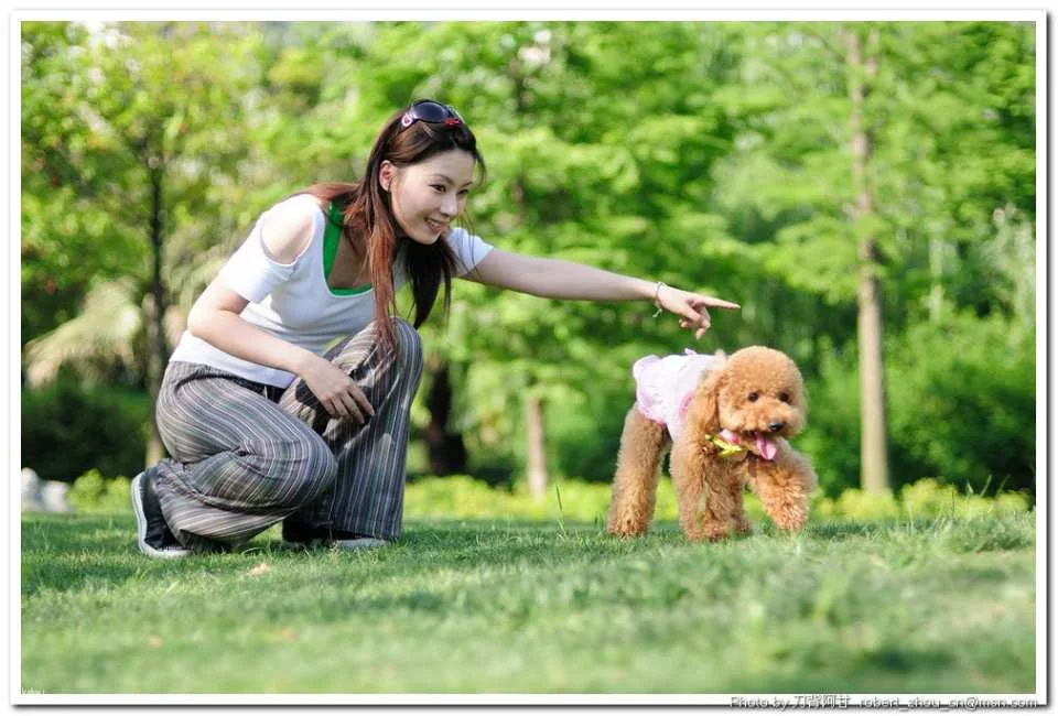 [Hokkaido Travel Photography] Sapporo Professional Photographer Service | Japan