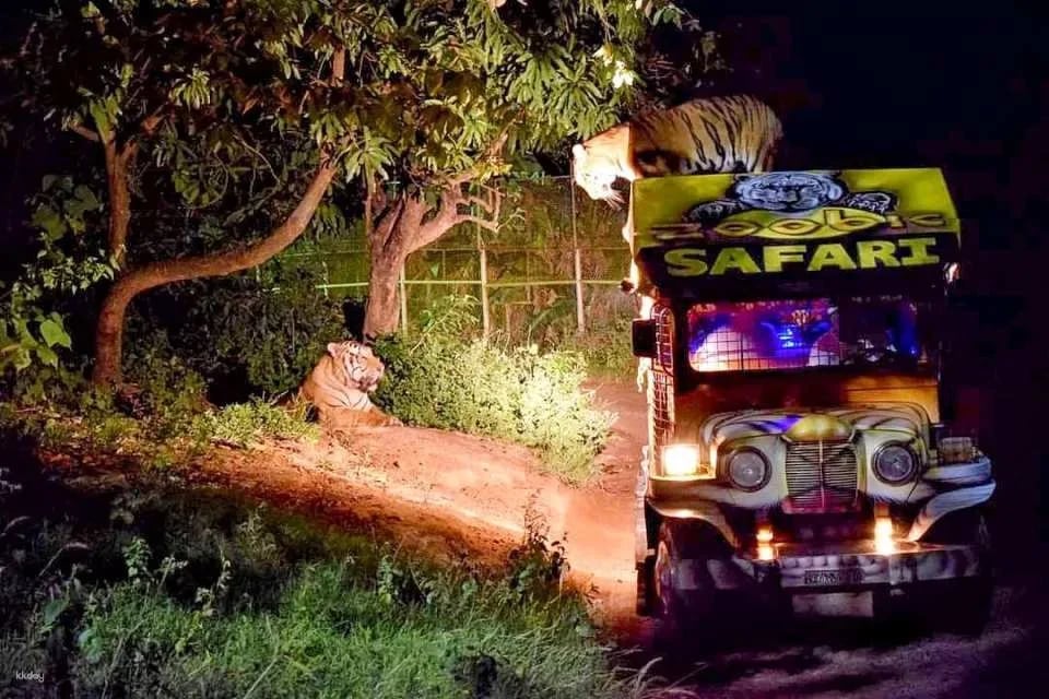 Subic Zoobic Safari Admission Ticket | Philippines