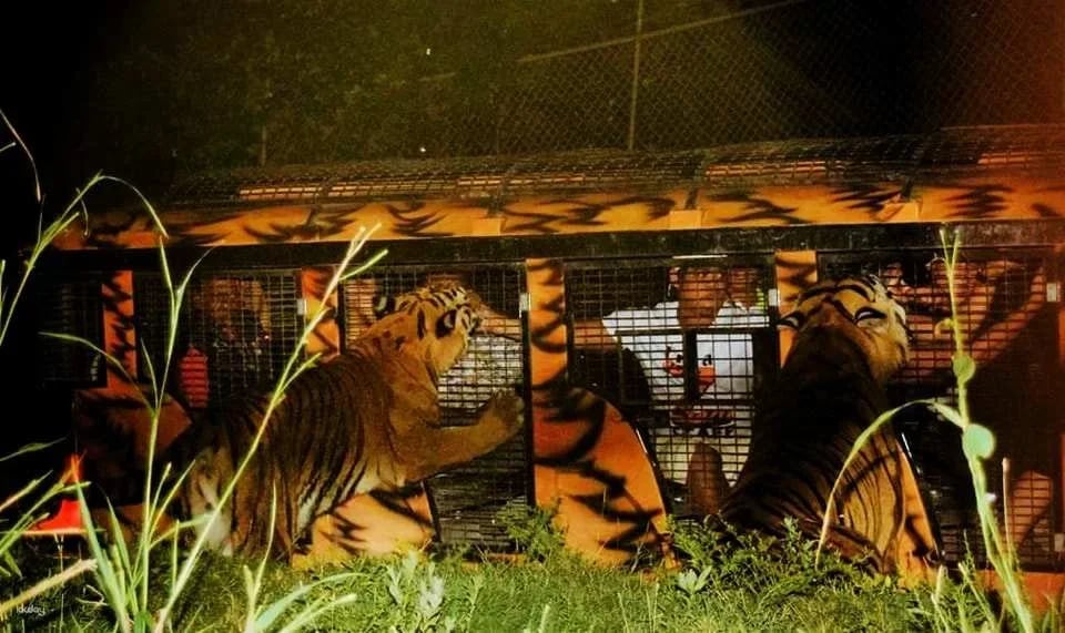 Subic Zoobic Safari Admission Ticket | Philippines