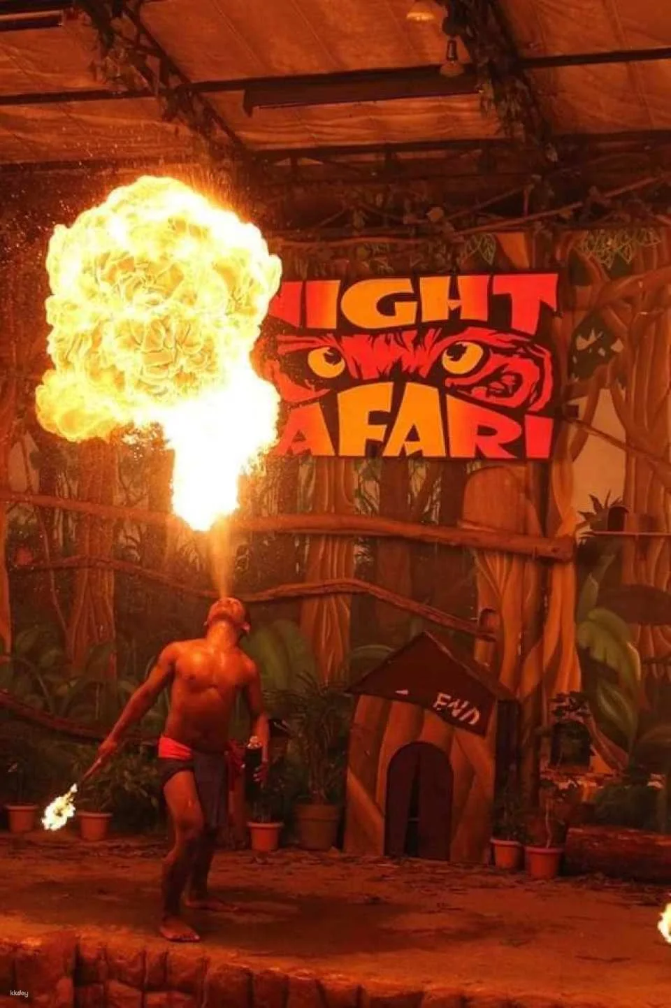 Subic Zoobic Safari Admission Ticket | Philippines