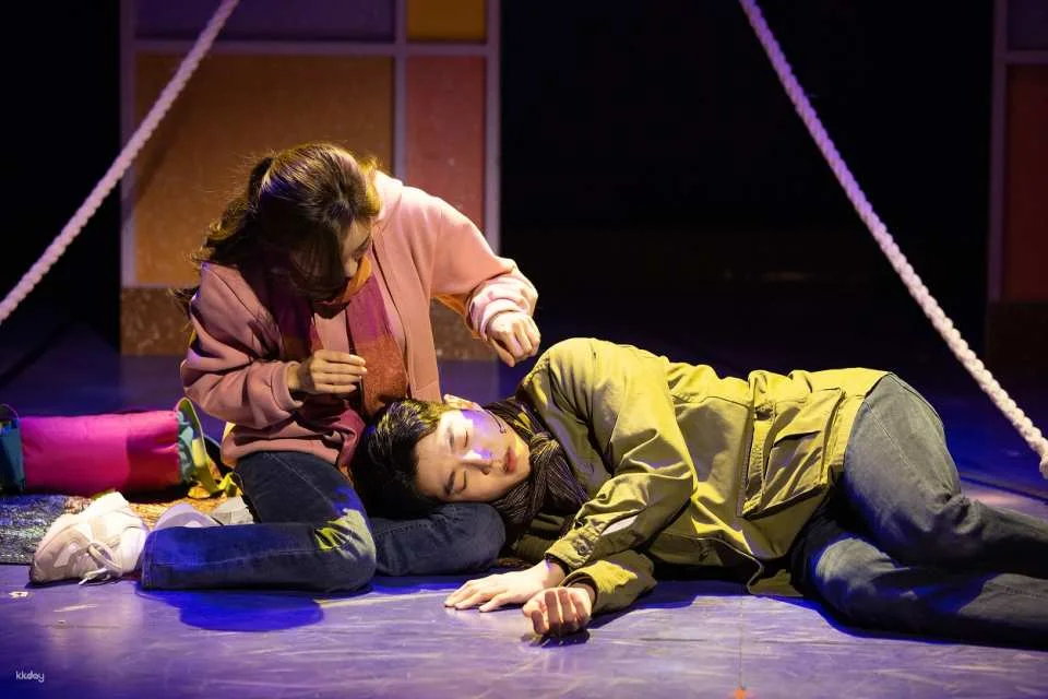 Musical <Finding Mr. Destiny> Ticket