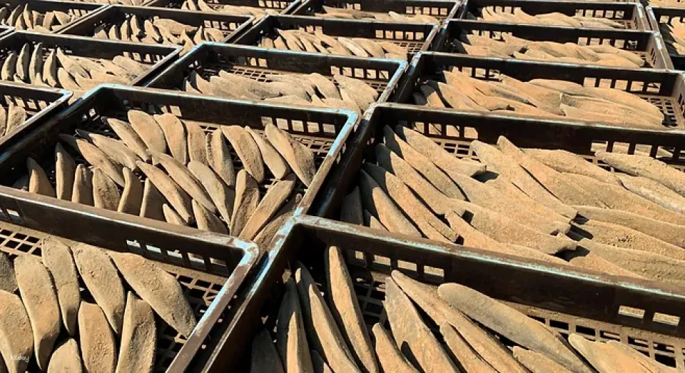 Katsuobushi (Dried Bonito) Factory Tour & Dashi soup(Chabushi) Workshop at Kagoshima