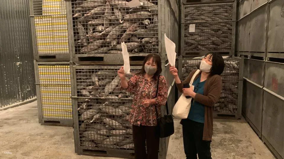 Katsuobushi (Dried Bonito) Factory Tour & Dashi soup(Chabushi) Workshop at Kagoshima