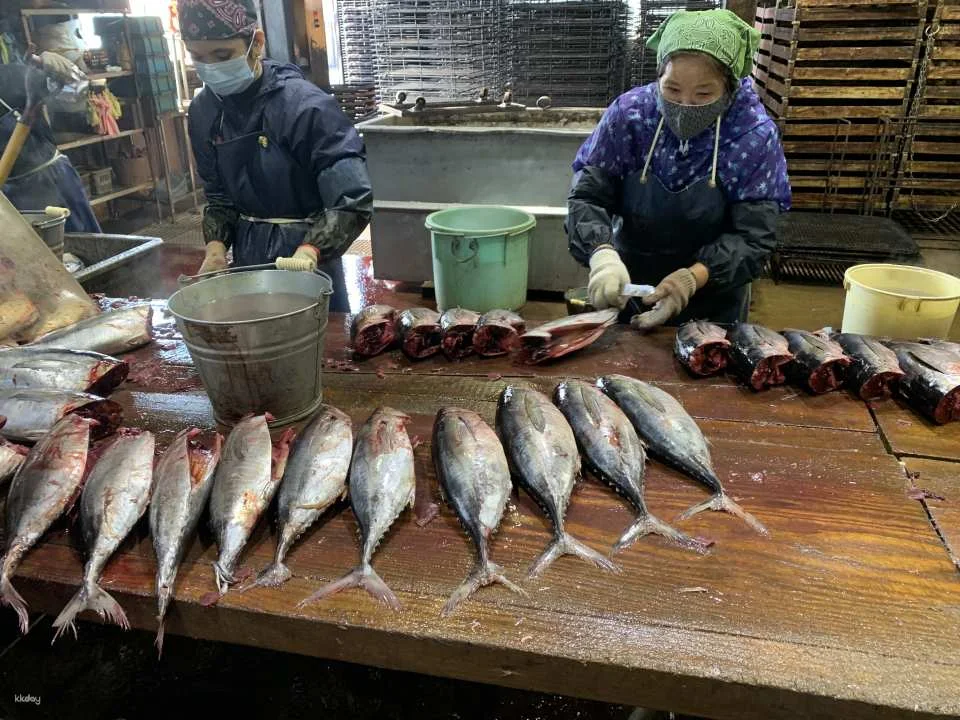 Katsuobushi (Dried Bonito) Factory Tour & Dashi soup(Chabushi) Workshop at Kagoshima