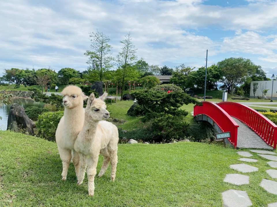 Yilan Green Dance Japanese Theme Park Ticket
