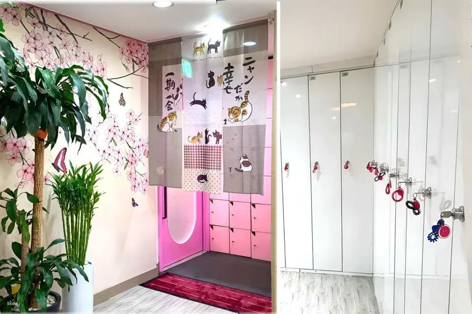 Myeongdong Hana Mud Korean Sauna, Body Scrub & Massage Spa for Women in Seoul