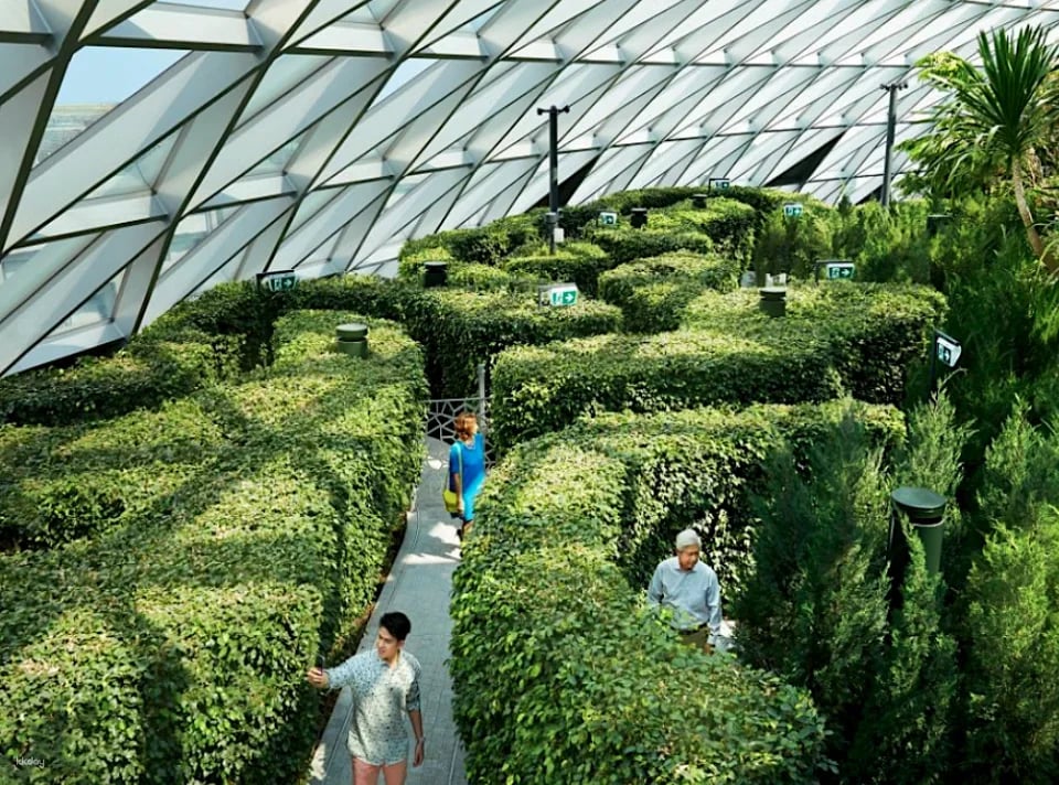 Jewel Changi Airport Attraction Tickets & Bundles: Canopy Park, Mastercard ® Canopy Bridge, Hedge Maze, Mirror Maze, Walking Net and Bouncing Net, Changi Studio | Singapore