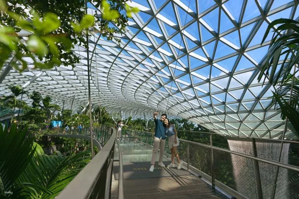 Jewel Changi Airport Attraction Tickets & Bundles: Canopy Park, Mastercard ® Canopy Bridge, Hedge Maze, Mirror Maze, Walking Net and Bouncing Net, Changi Studio | Singapore