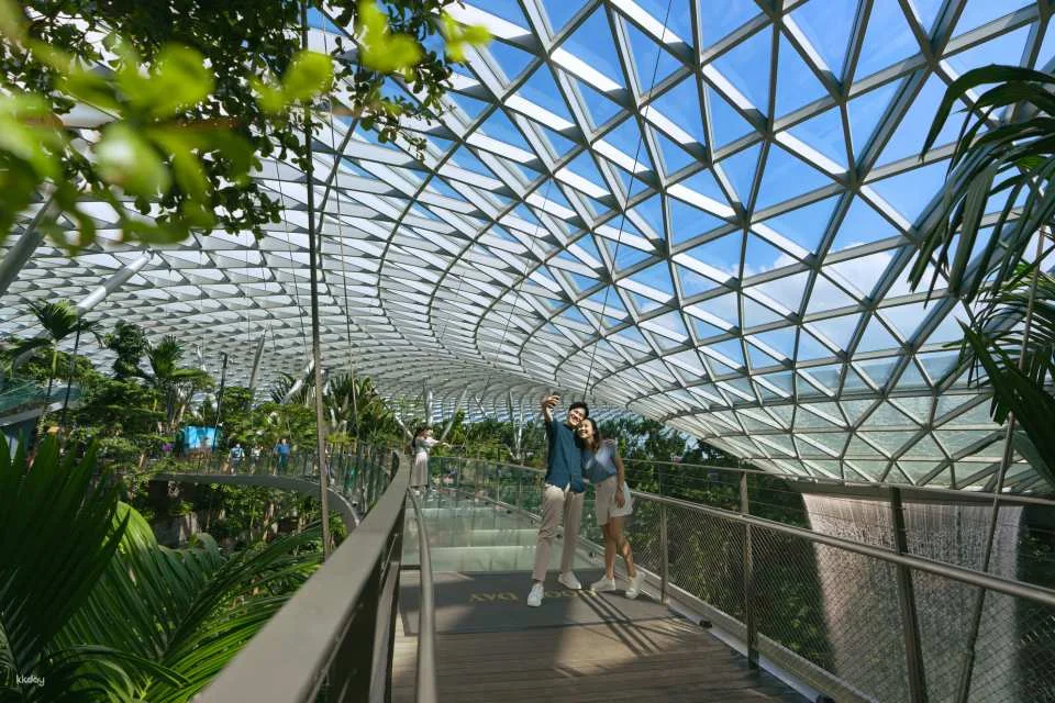 Jewel Changi Airport Attraction Tickets & Bundles: Canopy Park, Mastercard ® Canopy Bridge, Hedge Maze, Mirror Maze, Walking Net and Bouncing Net, Changi Studio | Singapore