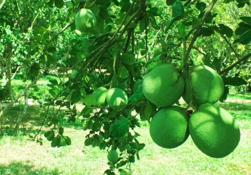 Thuy Bieu Eco Village Cycling - Cooking class Half Day Tour