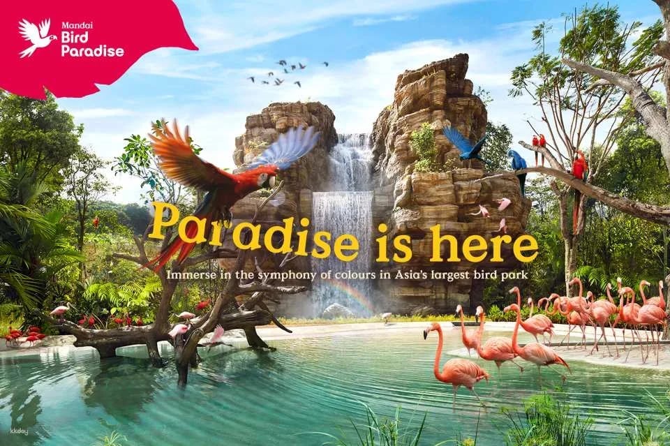 Mandai Wildlife Reserve: Multi-park Destination Passes | Night Safari, Singapore Zoo, River Wonders, Bird Paradise & Rainforest Wild ASIA