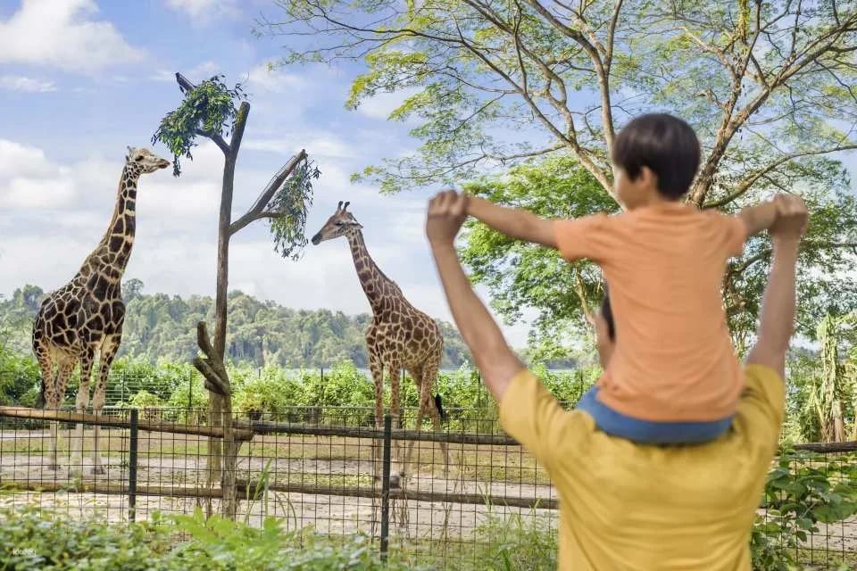 Mandai Wildlife Reserve: Multi-park Destination Passes | Night Safari, Singapore Zoo, River Wonders, Bird Paradise & Rainforest Wild ASIA