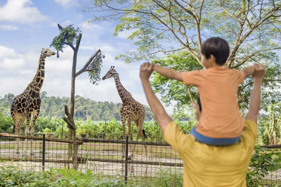 Mandai Wildlife Reserve: Multi-park Destination Passes | Night Safari, Singapore Zoo, River Wonders, Bird Paradise & Rainforest Wild ASIA
